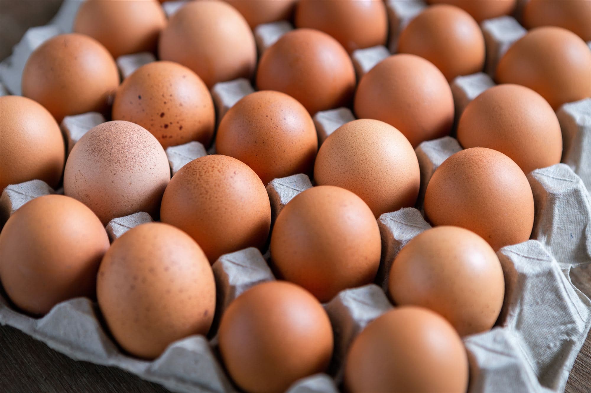 Fresh chicken eggs in a paper tray